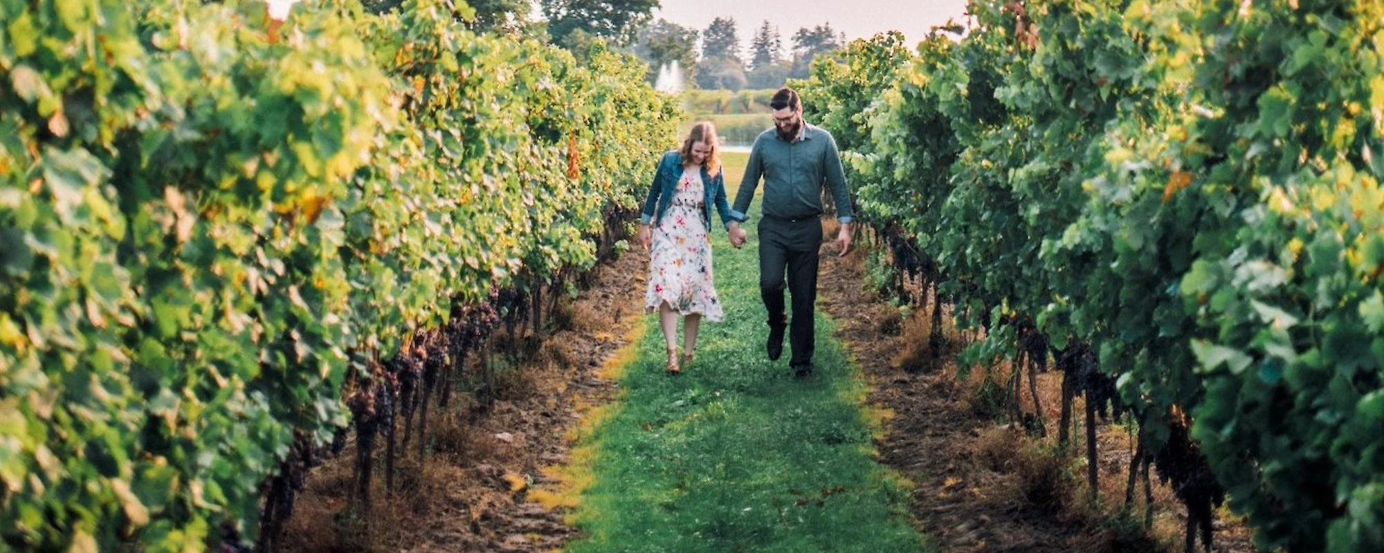 couple in vineyard