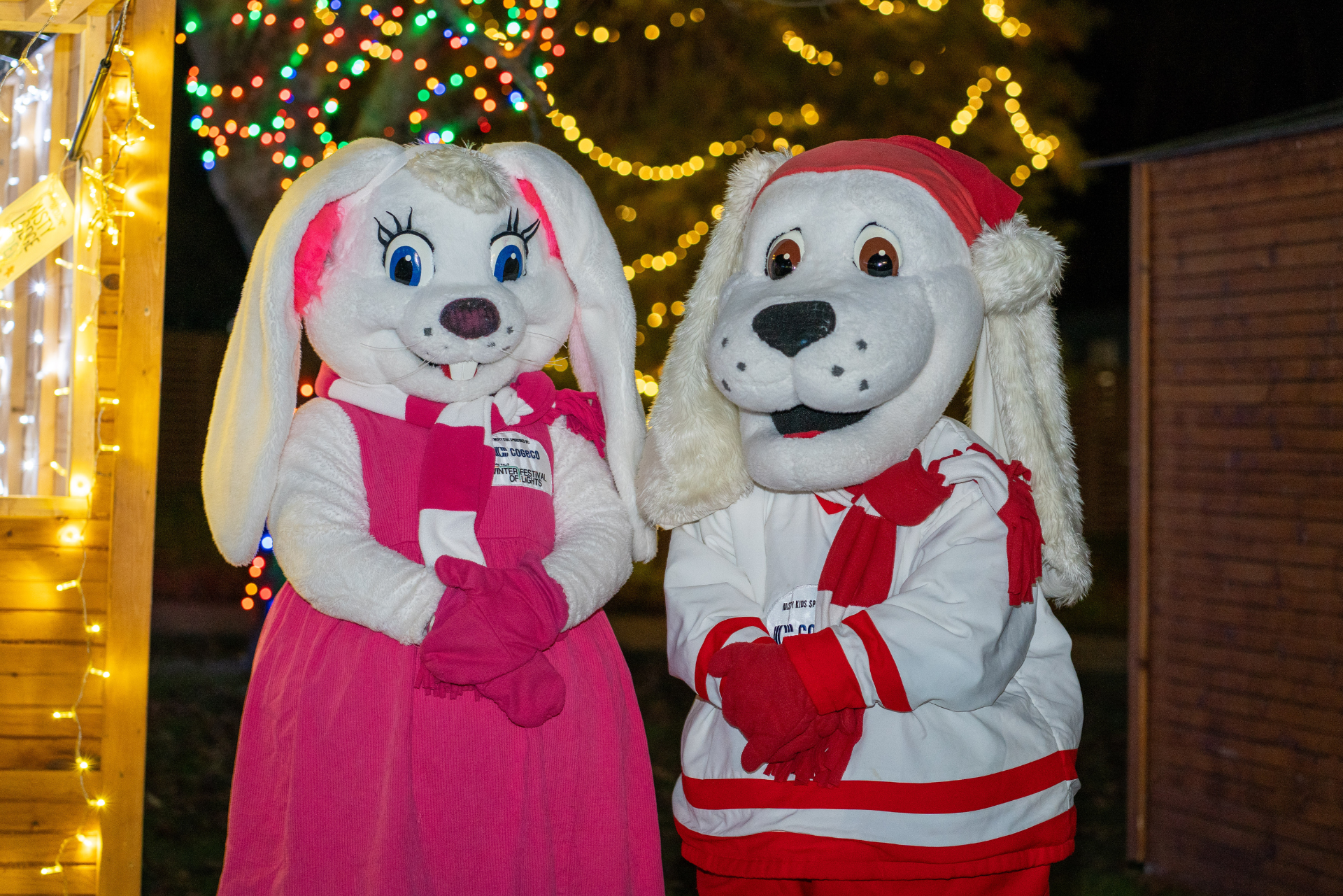 The Misty Lodge Misty Kids