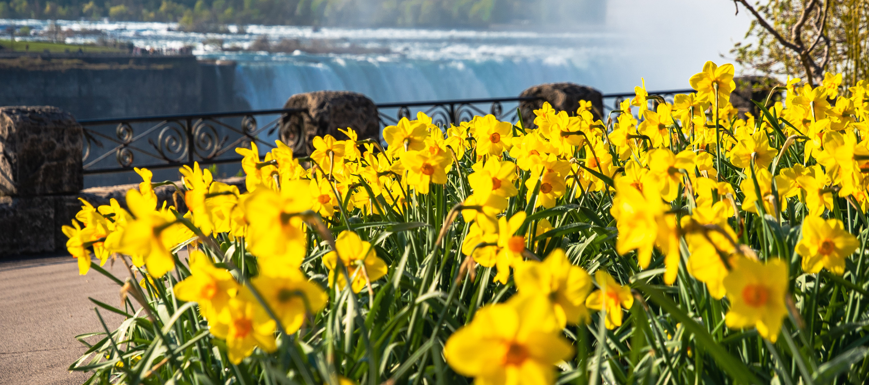 Spring in Niagara Falls