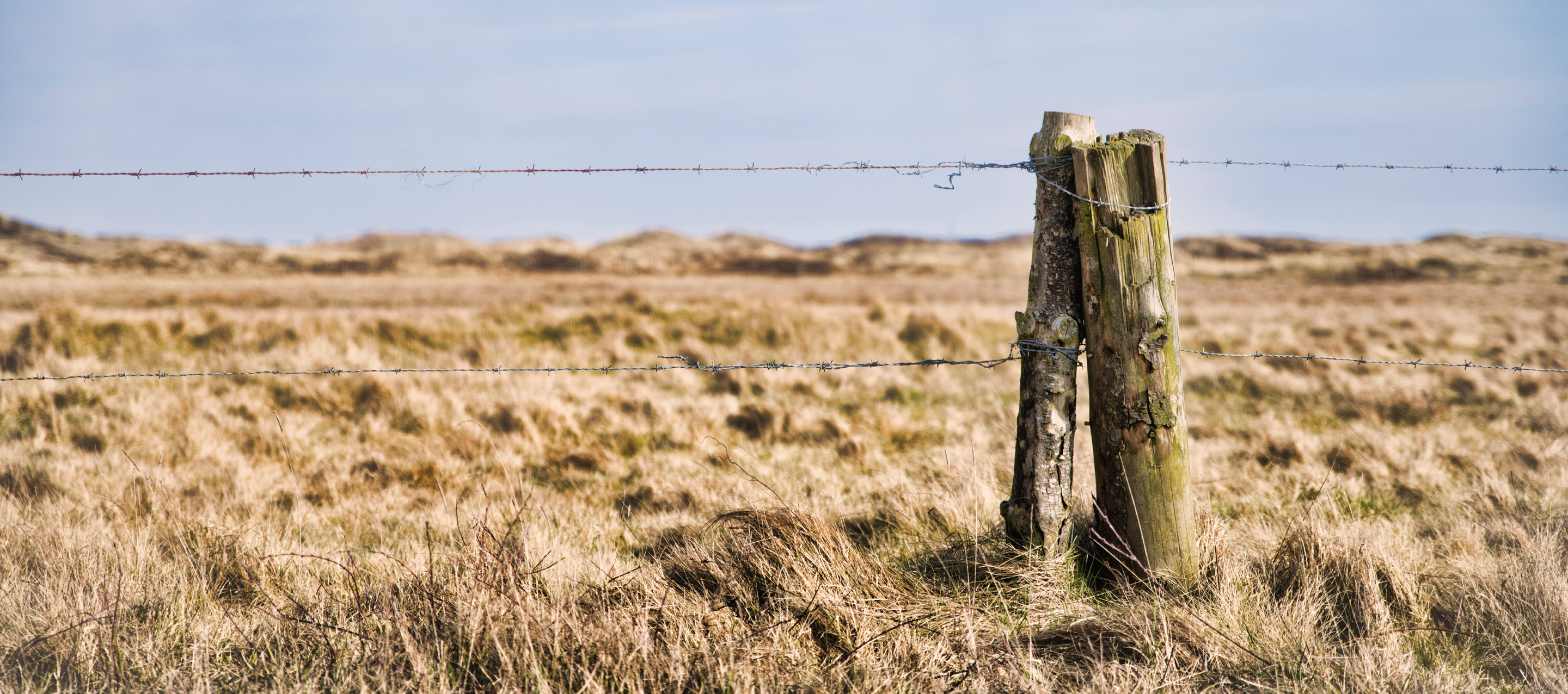 Fall Film Series: Borders - Crossing the Line North and Sout