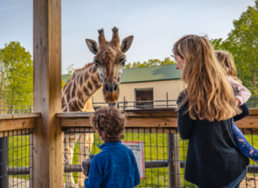 Exploring Wildlife Adventures in Niagara Falls