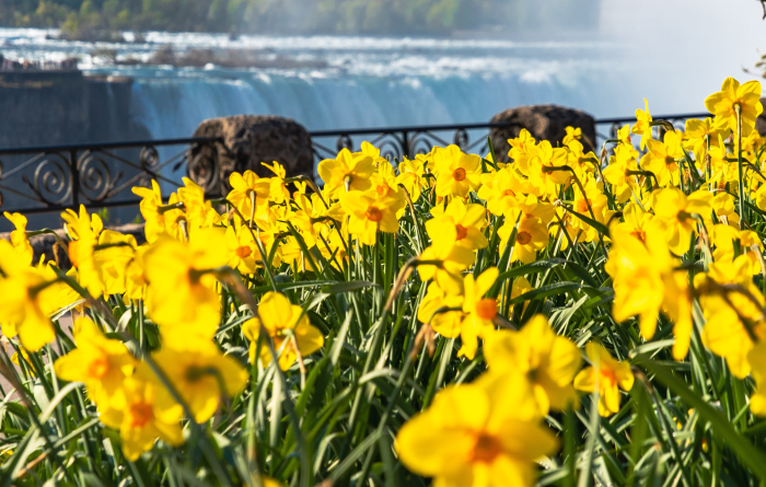 Spring in Niagara Falls